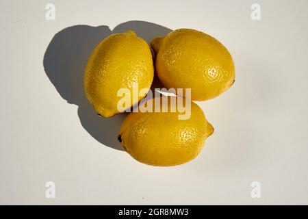 Shot from the top of three lemons  isolated on white Stock Photo