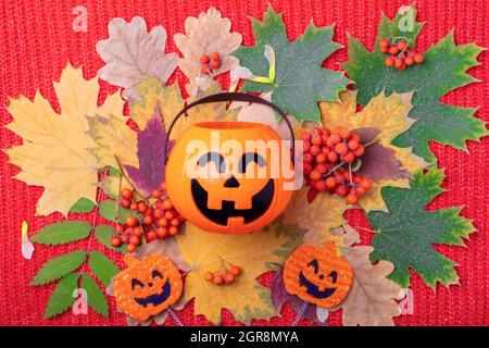 Halloween Jack o Lantern with sweets on a colorful autumn background from dried leaves and orange rowan berries on a knitted red background. Bright au Stock Photo