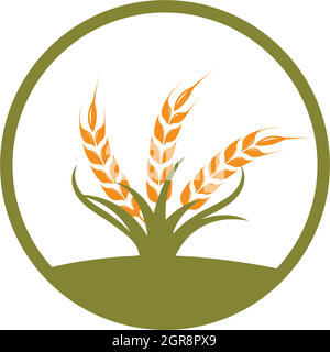 Agriculture wheat   vector icon illustration design Stock Vector
