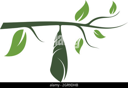 cocoon vector illustrtion design Stock Vector