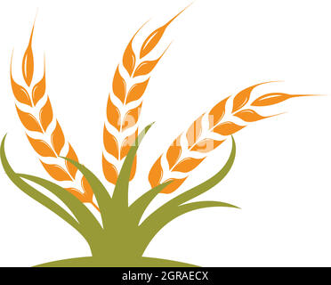Agriculture wheat   vector icon illustration design Stock Vector