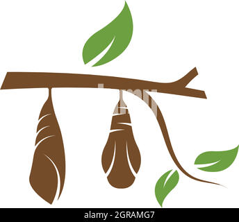 cocoon vector illustrtion design Stock Vector