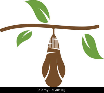 cocoon vector illustrtion design Stock Vector