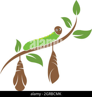 cocoon vector illustrtion design Stock Vector