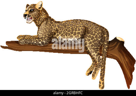 Leopard on a Branch Vector Illustration Stock Vector Image & Art - Alamy