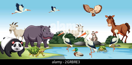 Various wild Animals scene Stock Vector
