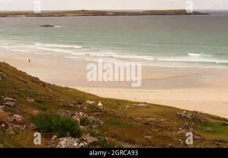 A view looking across Traigh Allt Chailgeag beach, Sutherland, Scotland, with a man walking along the beach Stock Photo