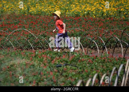 Hefei, China's Anhui Province. 1st Oct, 2021. A child enjoys leisure time at a park in Hefei, east China's Anhui Province, Oct. 1, 2021. Credit: Zhang Duan/Xinhua/Alamy Live News Stock Photo