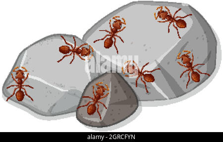 Top view of many many red ants on stones Stock Vector