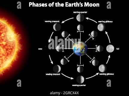 Diagram showing phases of earth moon illustration Stock Vector Image ...