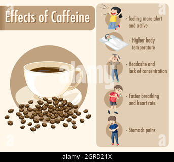 Effects of caffeine information infographic