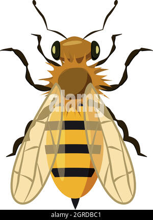 Insects bee icon, cartoon style Stock Vector