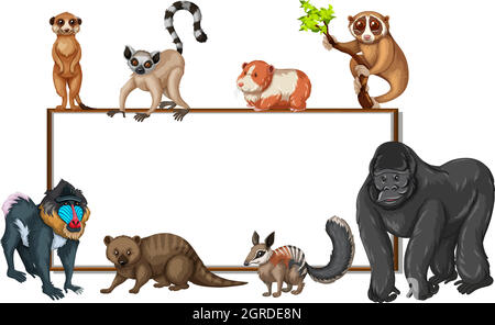 Wild animals with blank board template illustration Stock Vector Image ...