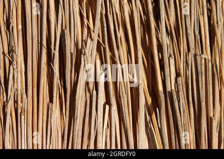 closeup of brown straw Stock Photo
