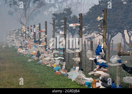 Plastic bags blown out of a landfill site at Grahamstown/Makhanda, South Africa, caught up in a fence. Smoke from a fire on the landfill fills the air. Stock Photo