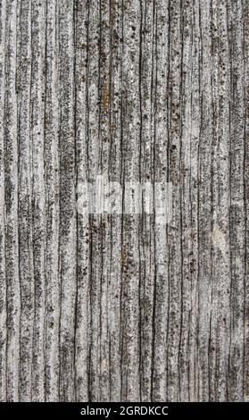 long grained weathered gray wood Stock Photo