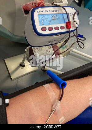 giving blood needle size