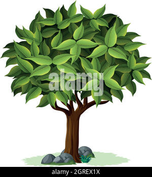 An isolated tree design Stock Vector