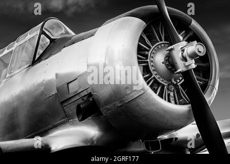 The T-6 Texan is an American single engined trainer aircraft used to train pilots of various countries during world war 2 and after Stock Photo