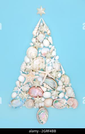 Christmas tree design made from seashells and star decorations on blue background. Abstract alternative concept Xmas tree shape for the holiday season Stock Photo