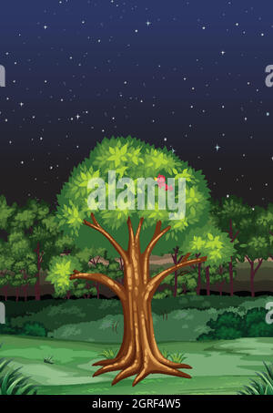 Forest scene at night time illustration Stock Vector Image & Art - Alamy