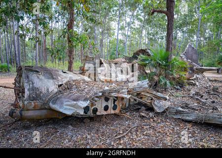 Wreckage of DC-3 plane which crashed near Higgins Field, in 1945. Bamaga, Queensland, Australia Stock Photo