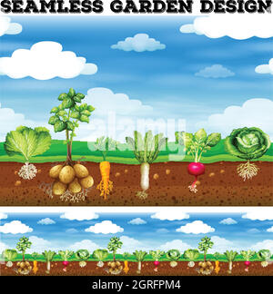 Different kind of vegetables in the garden Stock Vector