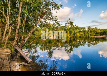 France, French Guiana, Parc Amazonien de Guyane, heart zone, Camopi, on the banks of the Oyapock river (natural border with Brazil) Stock Photo