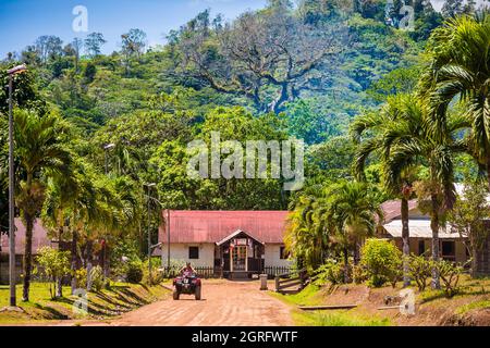 France, French Guiana, Saül, Parc Amazonien de Guyane, view of the main track leading to the town hall of the village, overlooked by the giant Fromager (Bombax ceiba), tree of the year 2015 Stock Photo