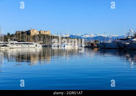 France, Alpes Maritimes, Antibes, port Vauban, peninsula of Saint Roch and fort carre (16th century), the Alps under the snow in the background Stock Photo