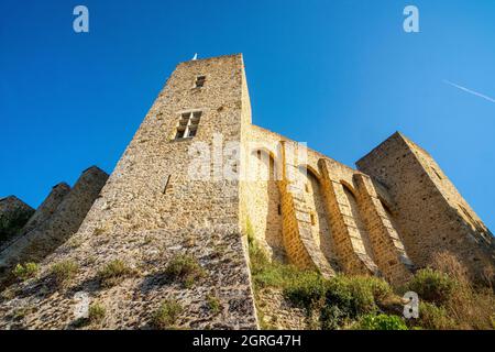 France, Yvelines, Regional Park of the Haute Vallee de Chevreuse, Chevreuse, the Madeleine castle Stock Photo