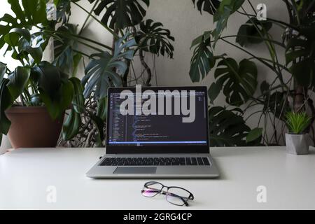 Minimalism workplace at home with opened laptop, glasses and houseplants Stock Photo