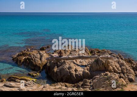France, Var, Saint Tropez peninsula, Ramatuelle, coast of the Bonporteau bay Stock Photo