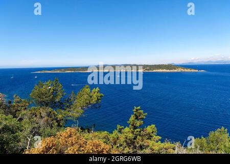 France, Var, Hyeres Islands, National Park of Port Cros island of Port Cros Stock Photo