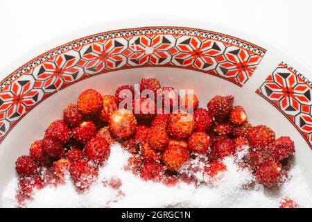 Wild strawberries (Fragaria vesca) with sugar crystals, on a bowl with romanian ethnic motifs. Stock Photo