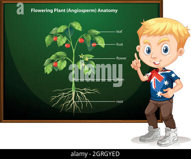 Little boy and flowering anatomy Stock Vector