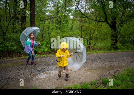 Boy and girl playing in the rain with umbrellas Stock Photo