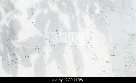 Shadow from leaves and shadow from tree branches on gray concrete background Stock Photo