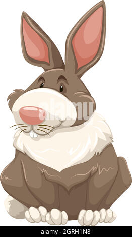 Rabbit Stock Vector