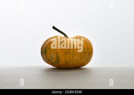 One isolated orange color pumpkin on white, seasonal decoration, viewed from the side Stock Photo