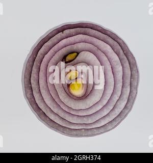 A section of a purple onion on white background, isolated Stock Photo
