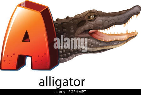 Illustration of Letter A is for alligator Stock Vector Image & Art - Alamy