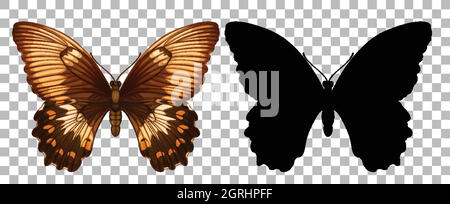 Butterfly and its silhouette on transparent background Stock Vector