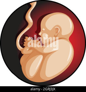 A Baby in Mother Womb Stock Vector