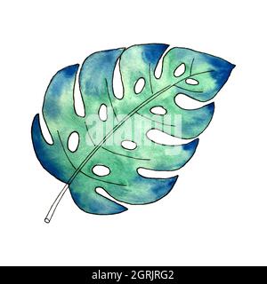 Monstera leaf decor watercolor, isolated, white background. Vector illustration Stock Vector