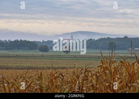 Rural landscape with village church and corn field on an autumn day, Hungary Stock Photo