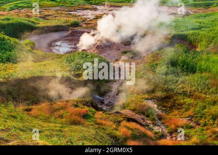 Steaming, sulfuric, active fumaroles near Pauzhetskaya, Kamchatka, Russia Stock Photo