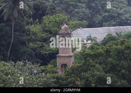 Old stone building surround by green nature Stock Photo