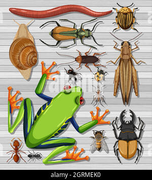 Set of different insects on transparent background Stock Vector