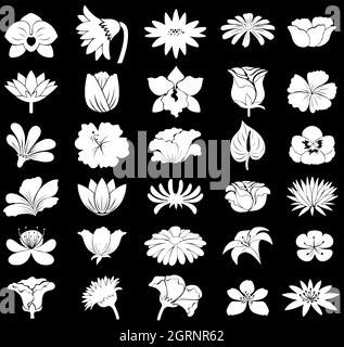Flowers Stock Vector